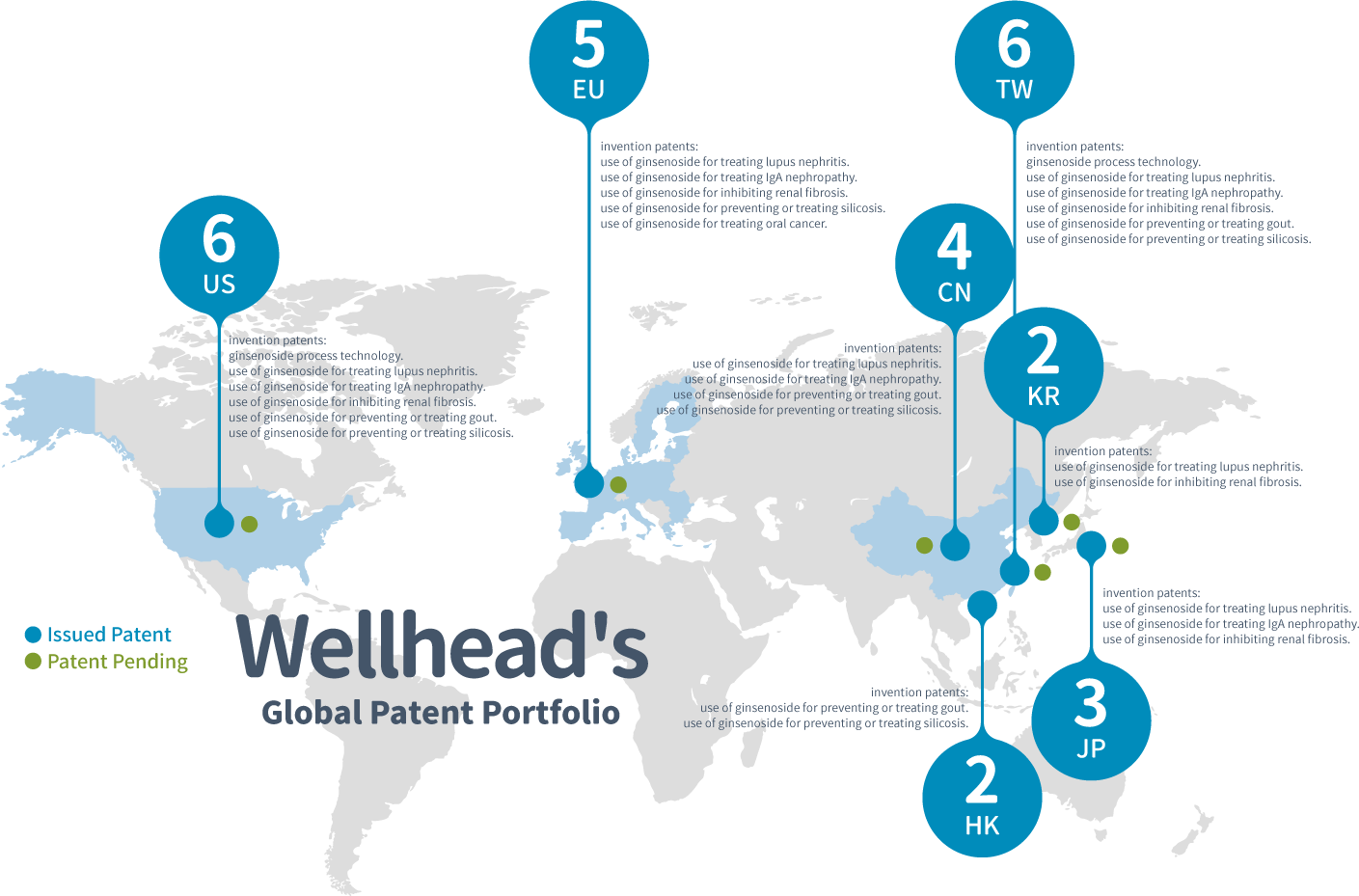 Wellhead's Global Patent Layout
