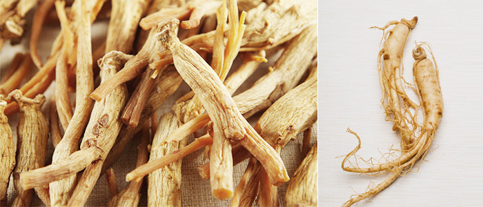 Ginseng, king of the herbal remedies