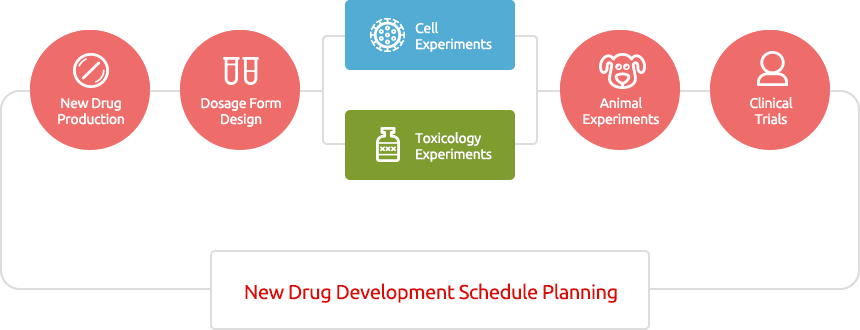 New Drug Development Schedule Planning